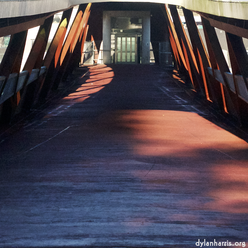 Image 'esch–sur–alzette (vi) 1', at Escher Déierepark, of a male goat with a near–circular horn.