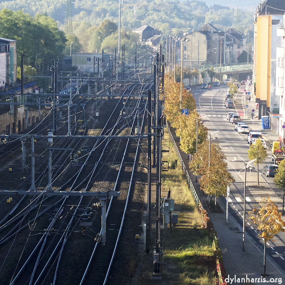 Image 'esch–sur–alzette (vi) 2', at Escher Déierepark, head and torso of a doe.