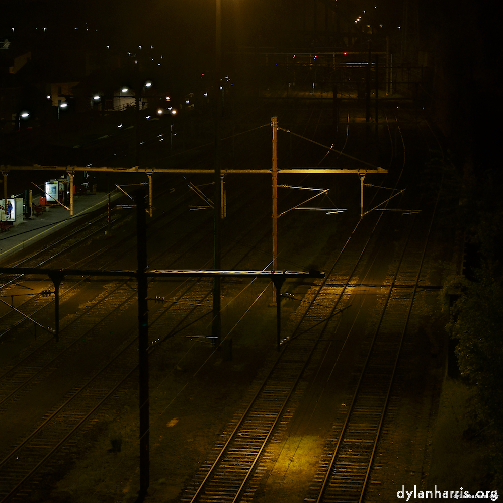 Image 'esch–sur–alzette (vi) 4', at Escher Déierepark, a doe realises I’ve no treats.