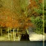 image: Image from the photoset ‘
kierchbierg (i)
’.