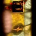 Image: First image from the photoset 'st pancakes'.