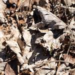 image: From the photoset 'esch–sur–alzette (xxii)'.