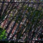 Eighth image from the photoset 'montmartre (v)'.