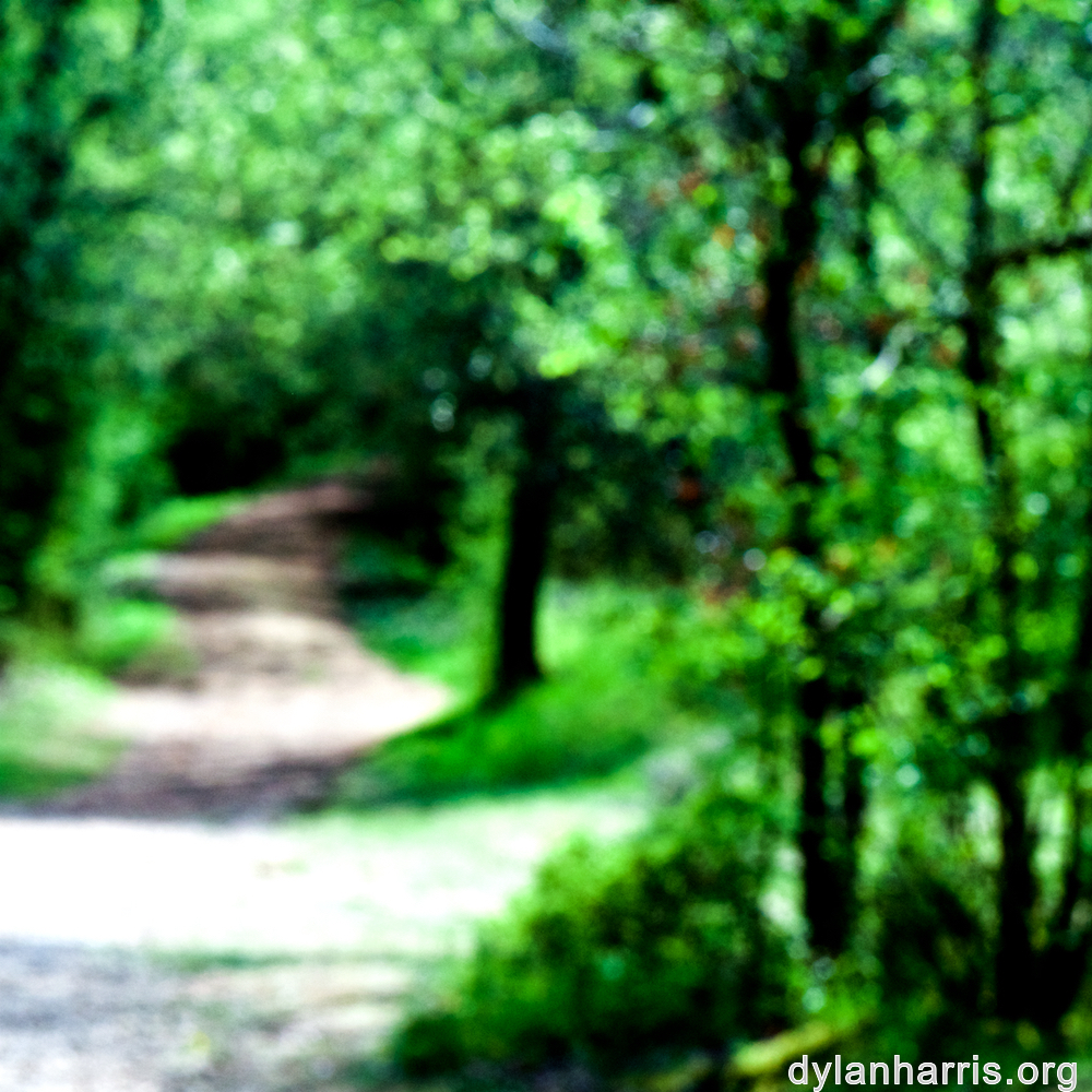 image: This is ‘
wood (xlv) 2
’.