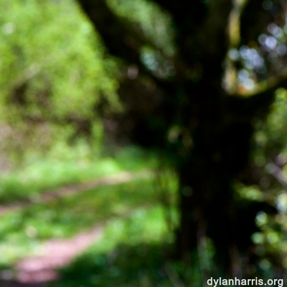 image: This is ‘
wood (xlv) 3
’.