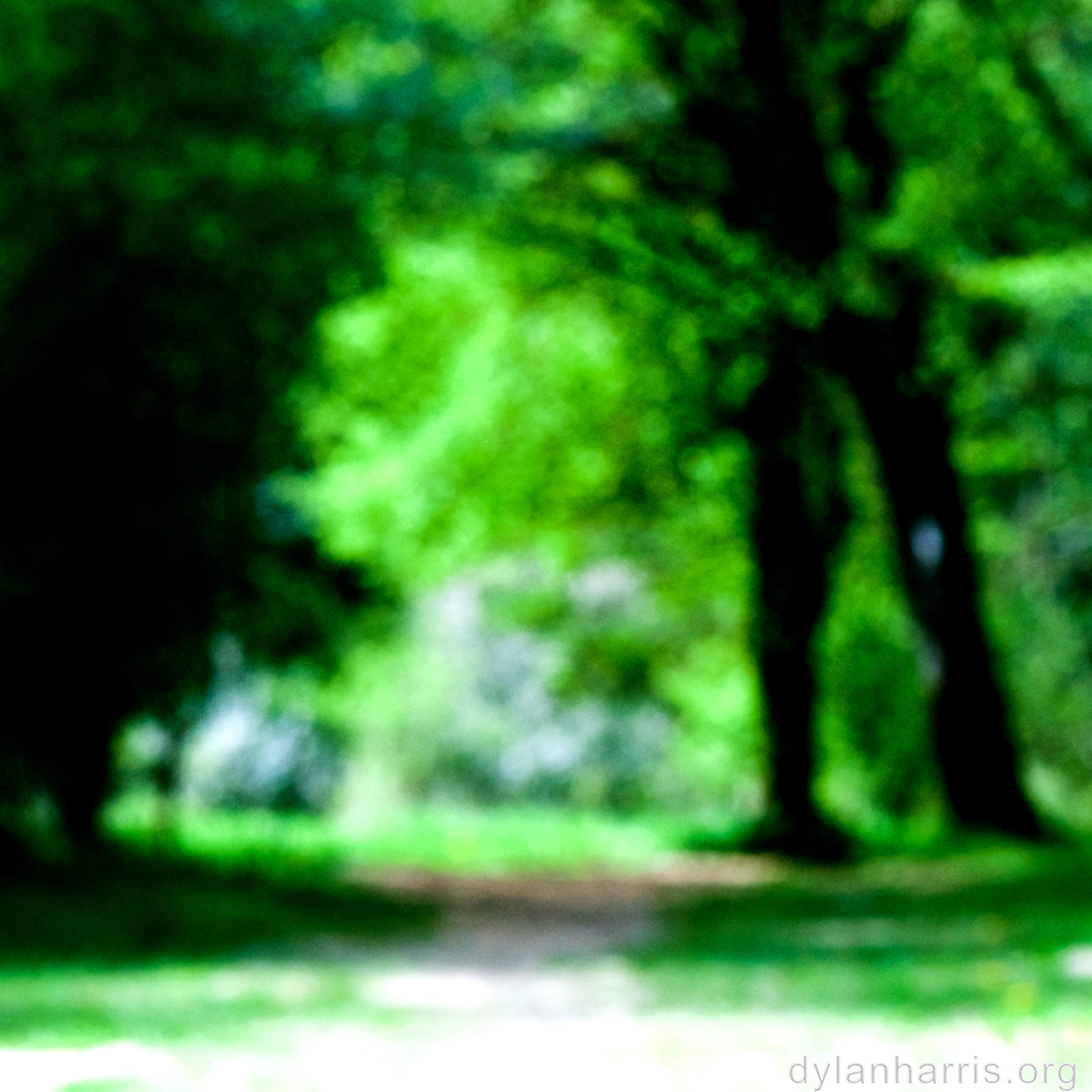 image: This is ‘
wood (xlv) 4
’.