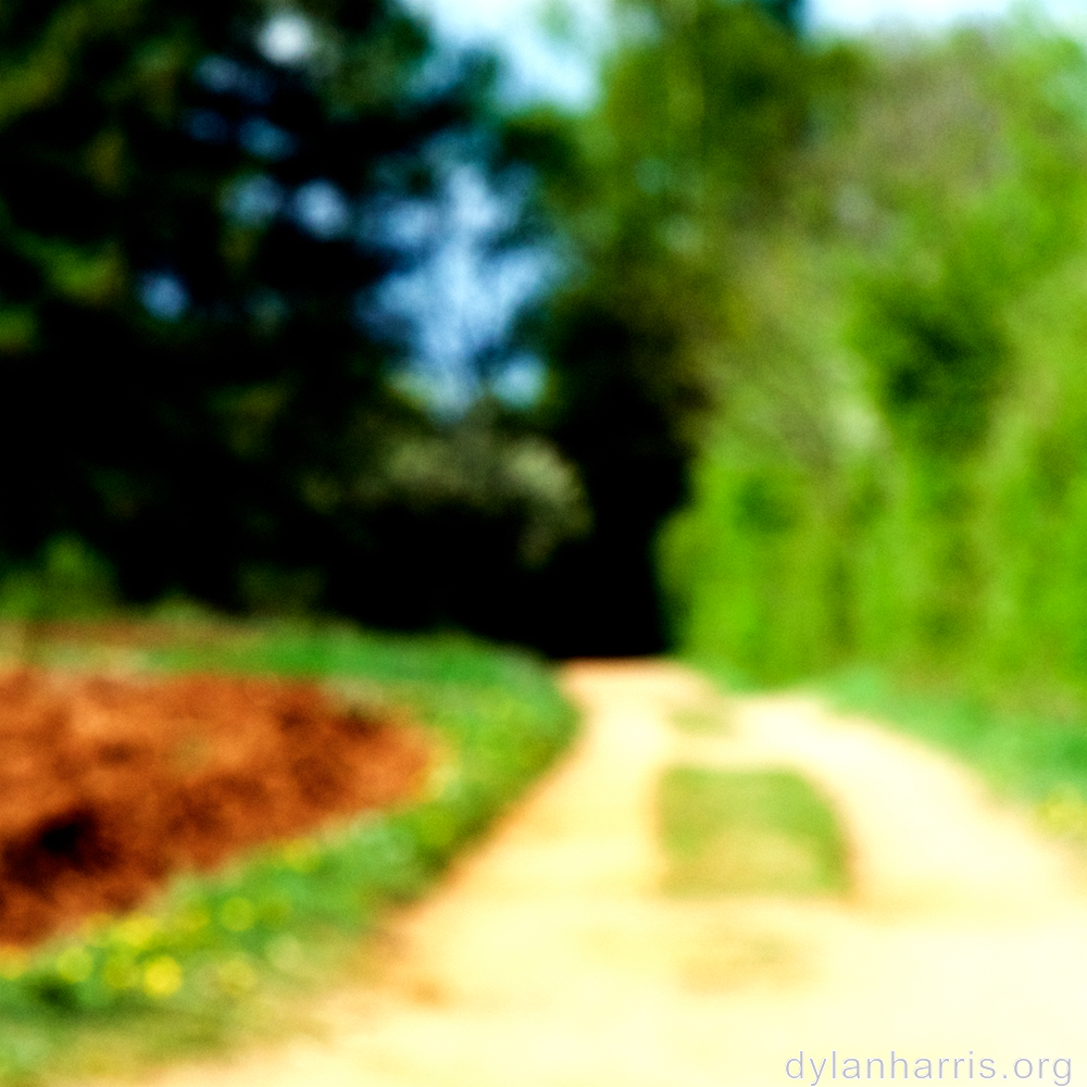 image: This is ‘
wood (xlv) 5
’.