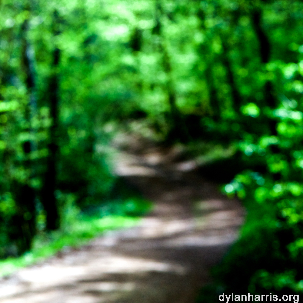 image: This is ‘
wood (xlv) 6
’.