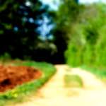 image: Image from the photoset ‘
wood (xlv)
’.