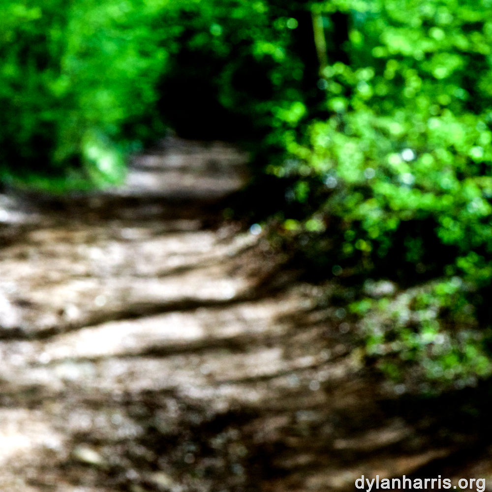 image: This is ‘
wood (xlvi) 3
’.