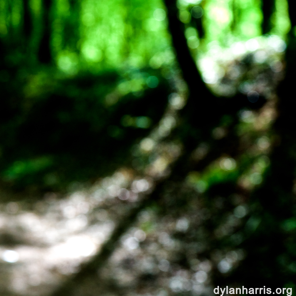 image: This is ‘
wood (xlvi) 4
’.