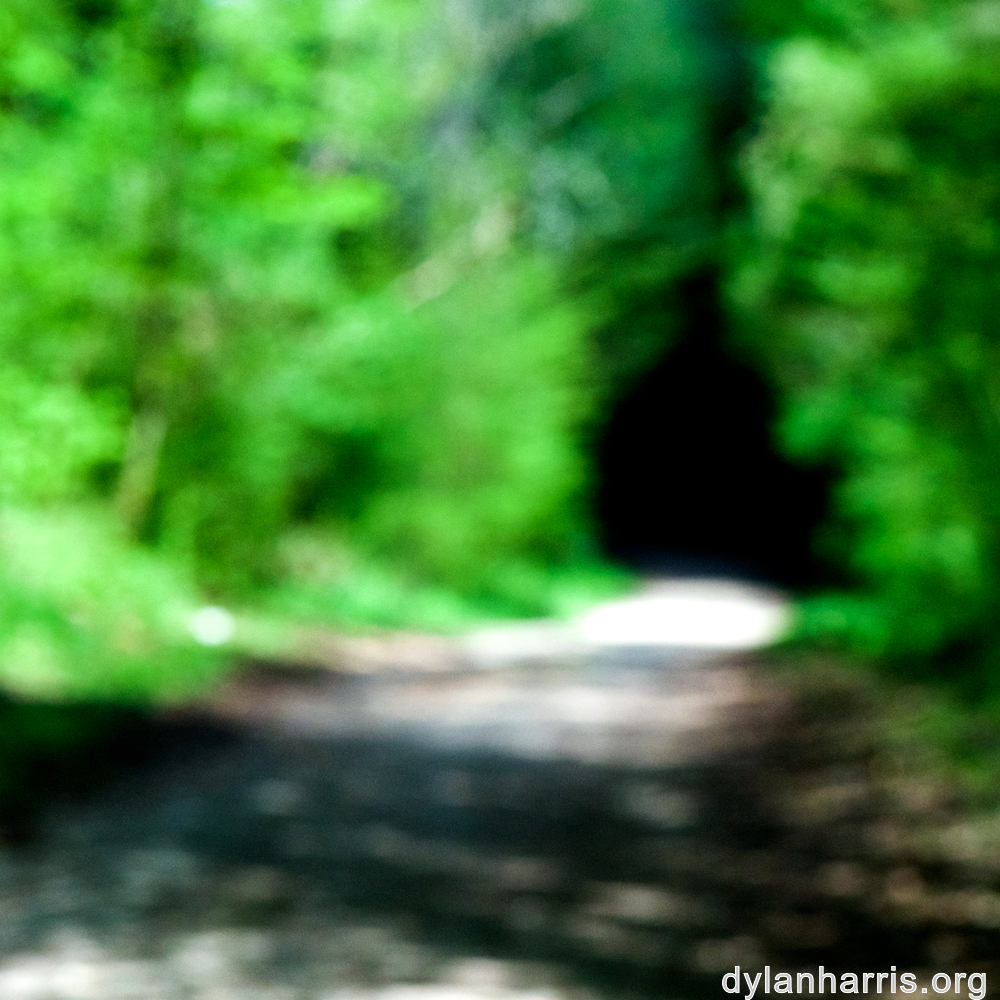 image: This is ‘
wood (xlvi) 6
’.