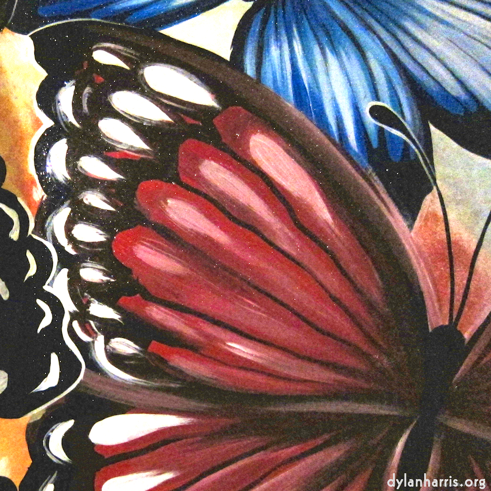 Image: Image 'elephant (i) 1'.