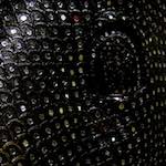 Fifth image from the photoset 'elephant (i)'.