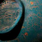 image: Image from the photoset ‘
elephant (ii)
’.