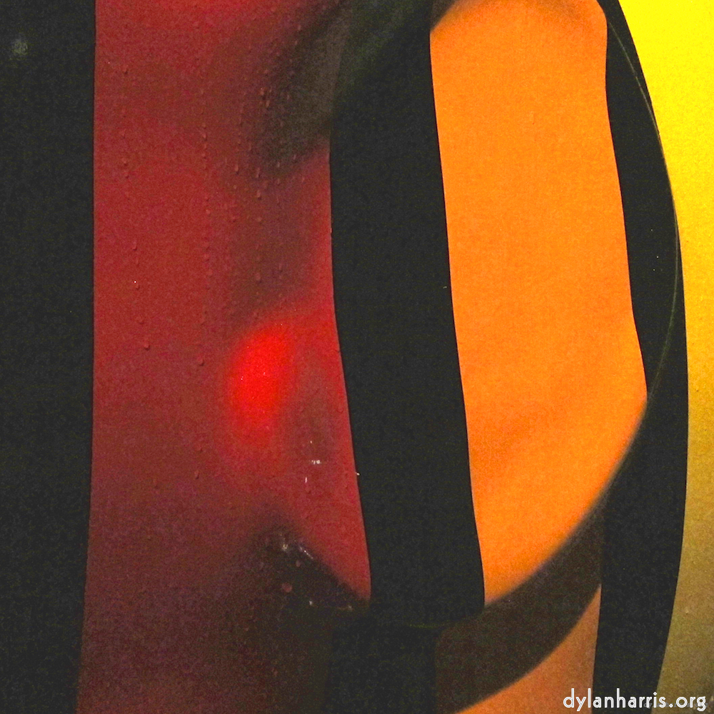 Image: Image 'elephant (iv) 4'.