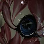 Image: Fifth image from the photoset 'elephant (iv)'.