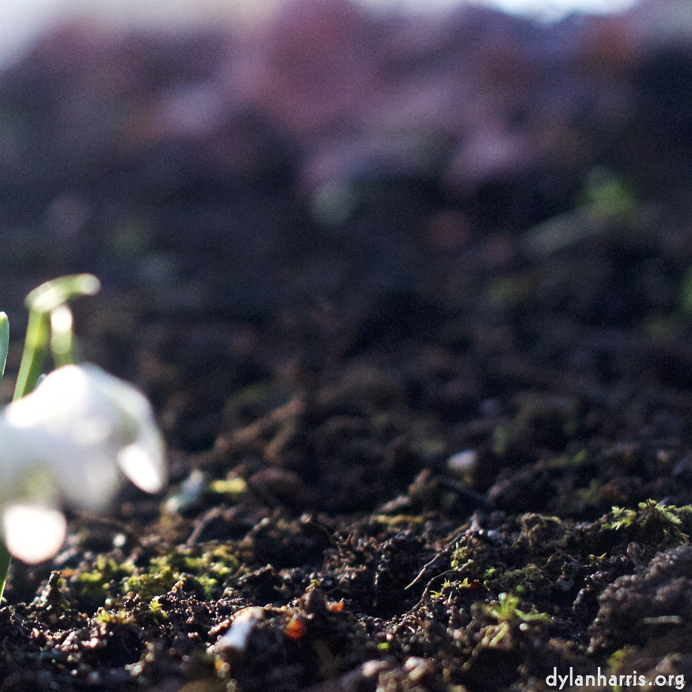 image: This is ‘
parc (xxii) 1
’.