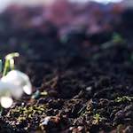 image: Image from the photoset ‘
parc (xxii)
’.