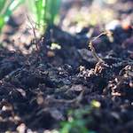 image: Image from the photoset ‘
parc (xxii)
’.