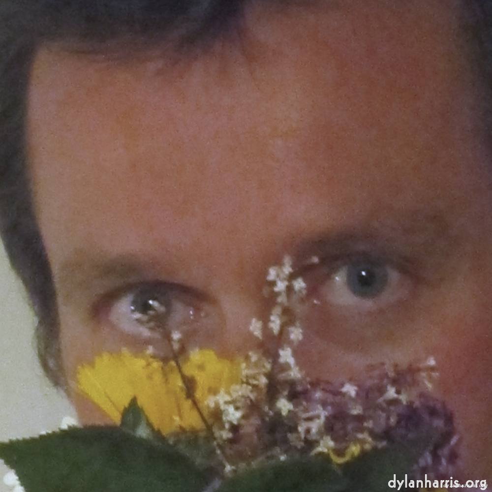 Image: Image 'poets (viii) 6'.