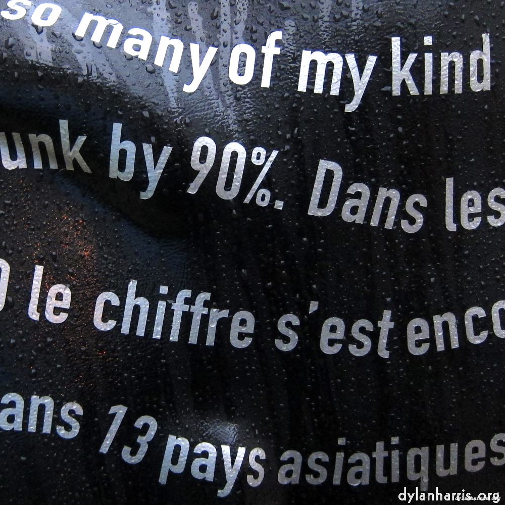 Image 'elephant (v) 5'.