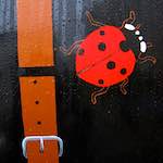 Image: Third image from the photoset 'elephant (v)'.