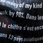 Image: Fifth image from the photoset 'elephant (v)'.