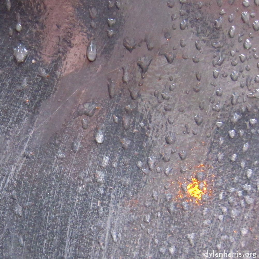 Image: Image 'elephant (vii) 5'.