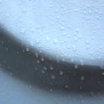 Image: Second image from the photoset 'elephant (vii)'.