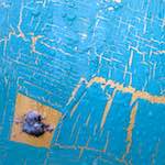 Image: Third image from the photoset 'elephant (vii)'.