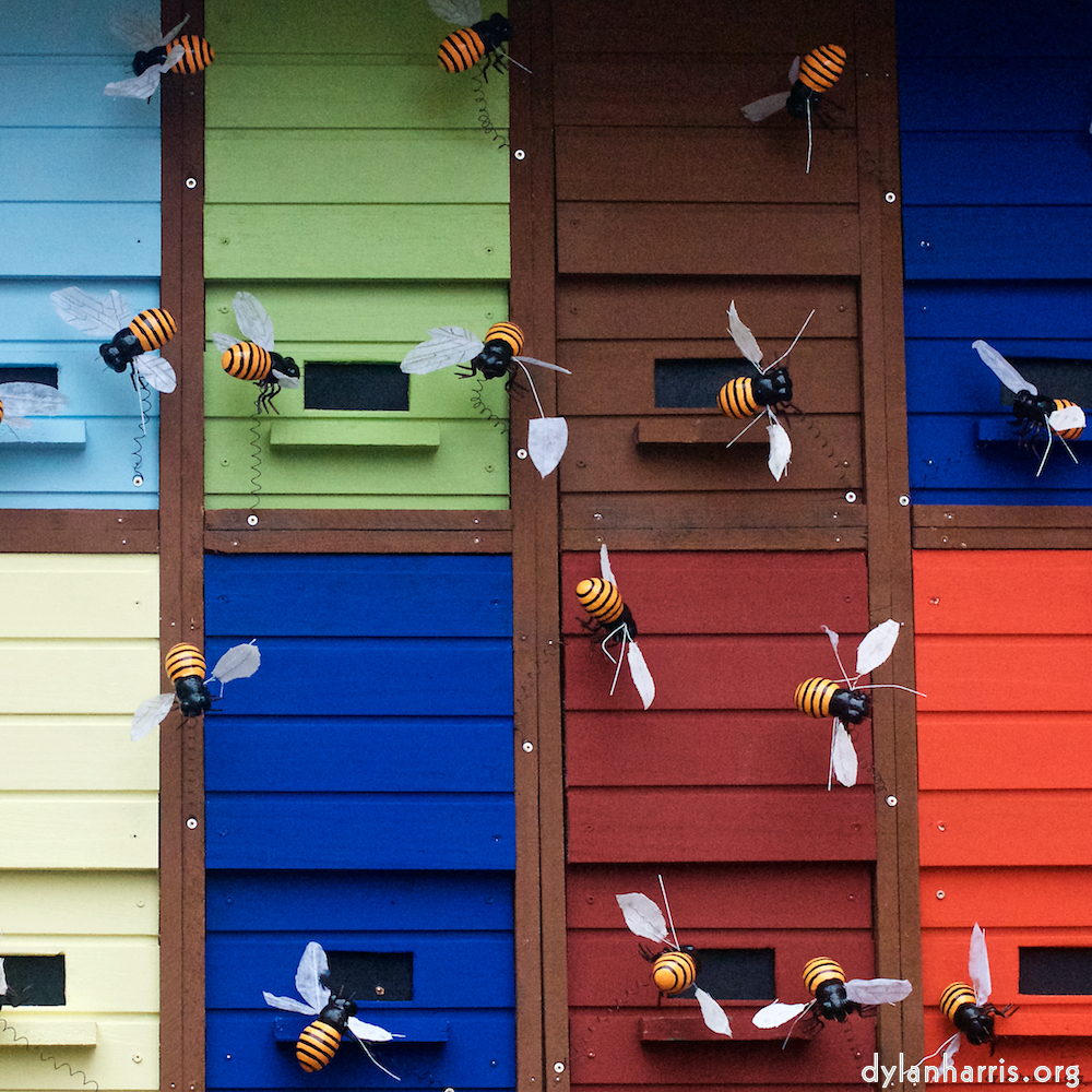 Image: Image 'esch–sur–alzette (xi) 2', at Escher Déiereesch, head and torso of a doe.