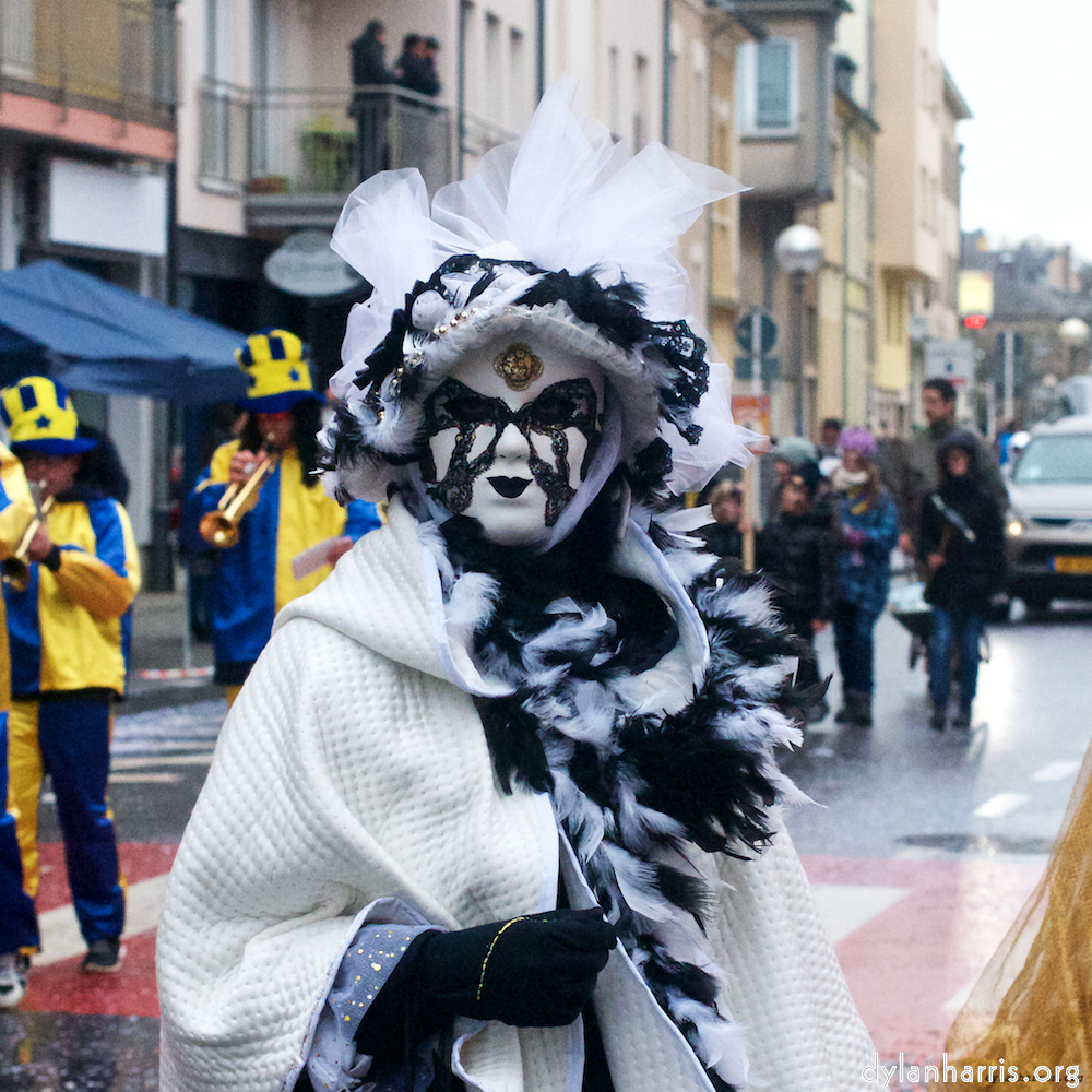 Image: Image 'esch–sur–alzette (xi) 4', at Escher Déiereesch, a doe realises I’ve no treats.