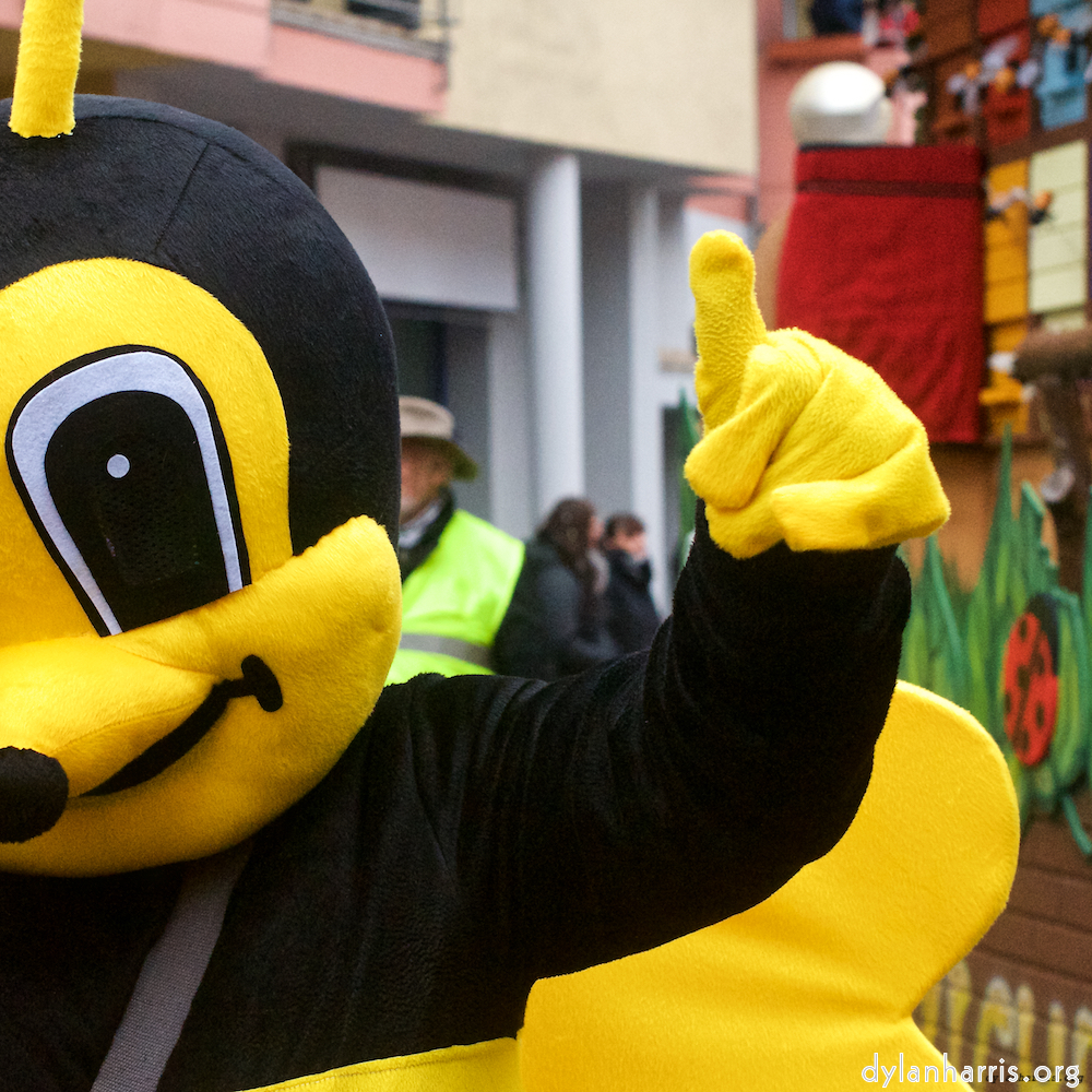 Image: Image 'esch–sur–alzette (xi) 5', of daffodils.