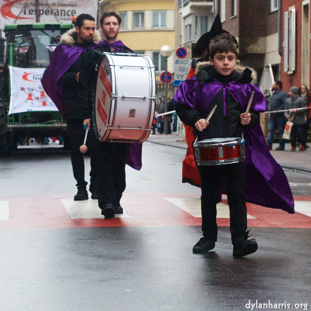 Image: Image 'esch–sur–alzette (xi) 6', of daffodils.