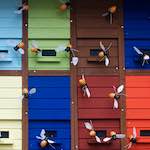 Image: Second image from the photoset 'esch–sur–alzette (xi)'.