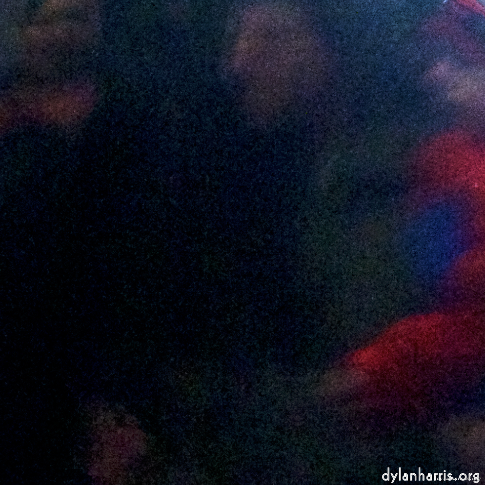 Image: Image 'esch–sur–alzette (xiii) 2', at Escher Déiereesch, head and torso of a doe.