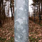 image: Image from the photoset ‘
esch–sur–alzette (xiv)
’.