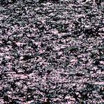 Image: First image from the photoset 'veianen (i)'.