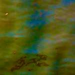 Image: Second image from the photoset 'veianen (i)'.