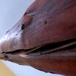 Image: Fourth image from the photoset 'doheem (i)'.