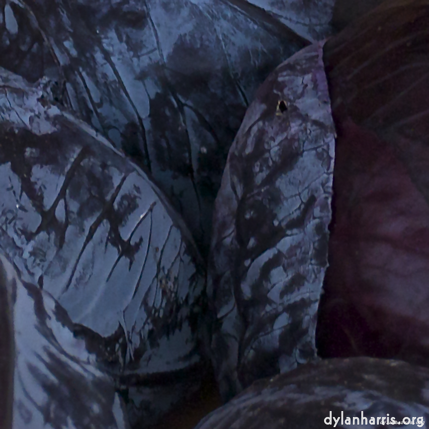 Image 'montmartre (ii) 2'.