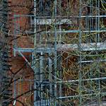 Fourth image from the photoset 'montmartre (ii)'.