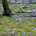 Eighth image from the photoset 'montmartre (ii)'.