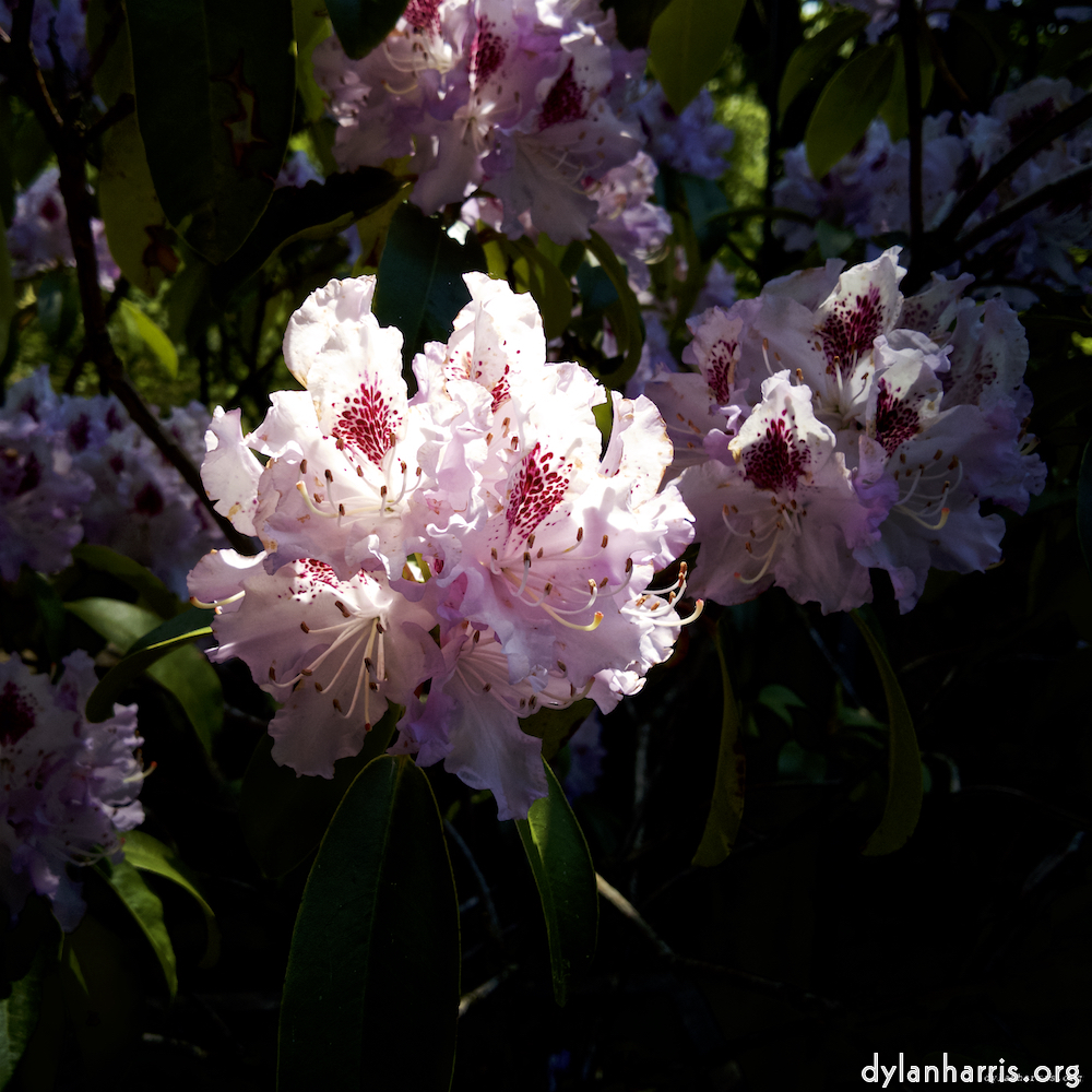 image: This is ‘
luxembourg (xi) 3
’.