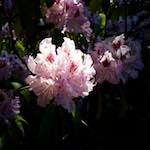 image: Image from the photoset ‘
luxembourg (xi)
’.