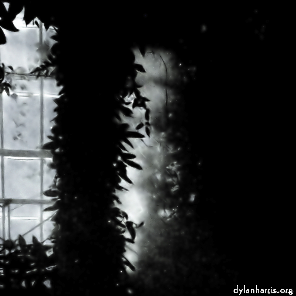 Image: Image 'dublin (x) 2'.