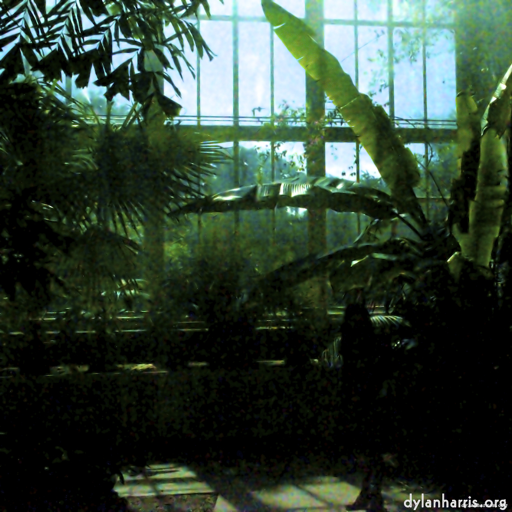 Image: Image 'dublin (x) 4'.