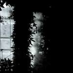 Image: Second image from the photoset 'dublin (x)'.