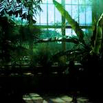 Image: Fourth image from the photoset 'dublin (x)'.